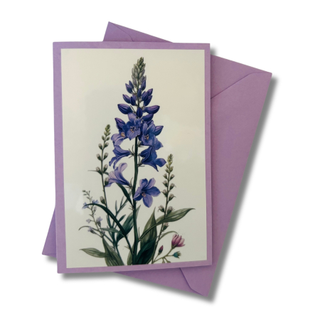 Mini-Karte Glockenblume lila