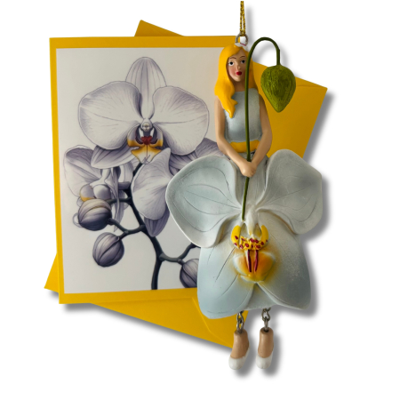 Mini-Karte Phalaenopsis weiß-grau