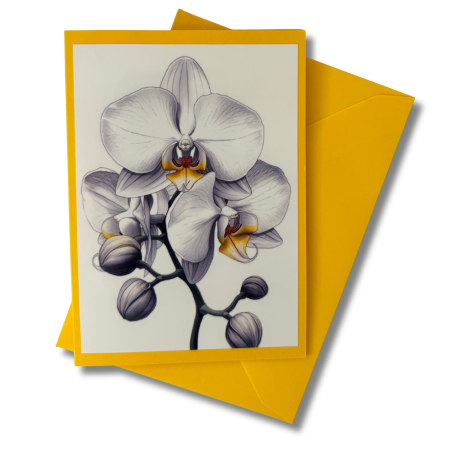 Mini-Karte Phalaenopsis weiß-grau