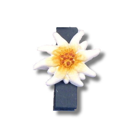 Klammer Edelweiss