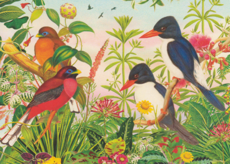 Postkarte Exotische Vögel