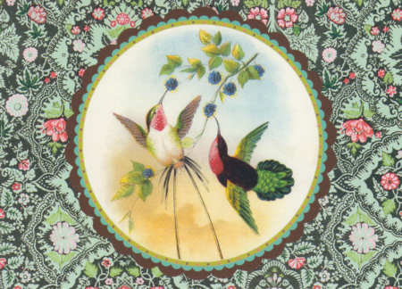 Postkarte Kolibris