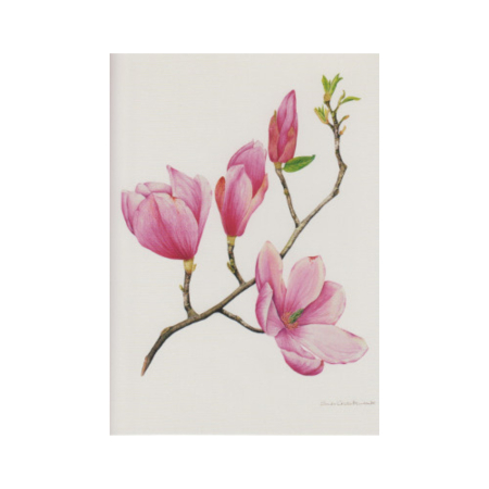 Doppelkarte Magnolie