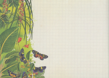 Preview: Notizheft Papillons