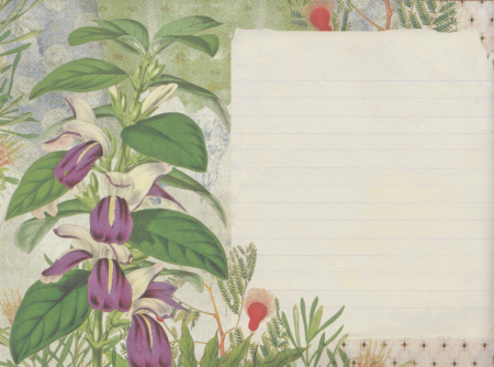 Preview: Notizheft Naturalist