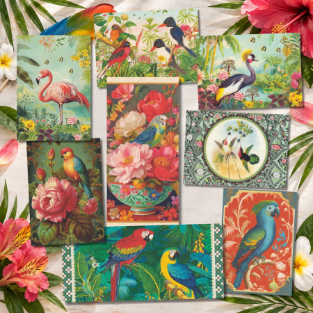 Postkartenset Bunte Vogelwelt 8 Karten