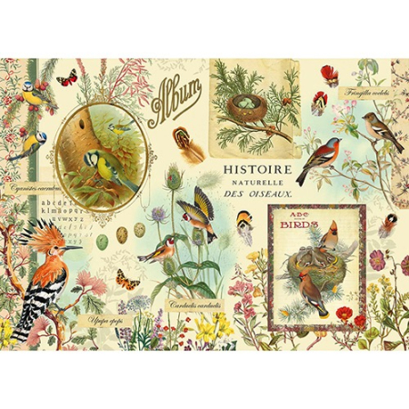 Puzzle Oiseaux