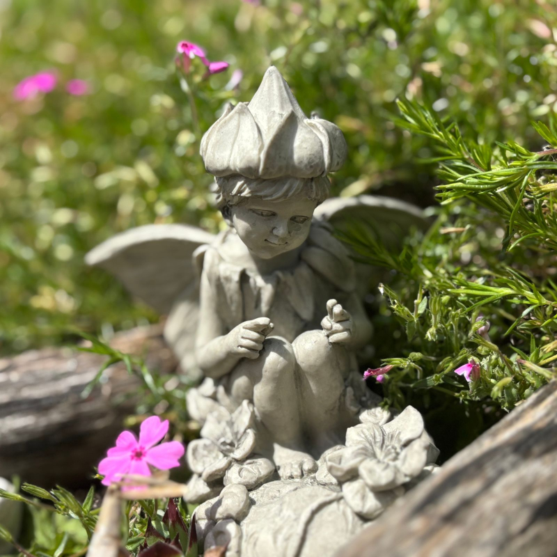 Blumenfairy Heilkraut
