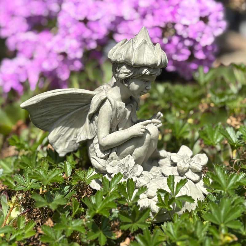 Blumenfairy Heilkraut