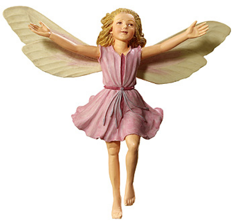 Flower-Fairy Elfe Feuerkraut (Box)