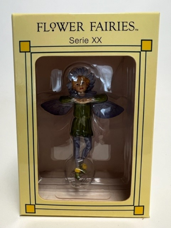 Flower-Fairy Elfe Aster (Box)