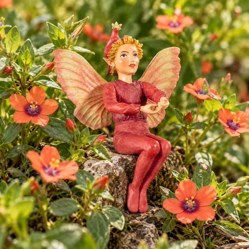 Flower-Fairy Elfe Ackergauchheil (Box)