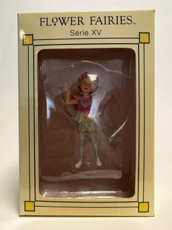 Flower-Fairy Elfe Nelkenjunge (Box)