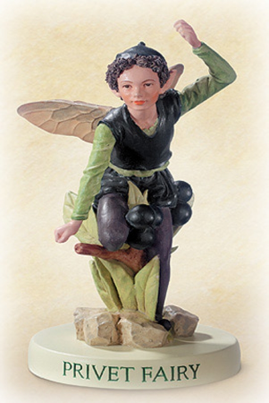 Flower-Fairy Elfe Liguster (Sockel)