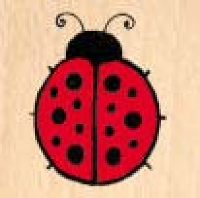 Motivstempel Mini Ladybug