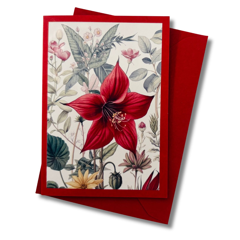 Mini-Karte Akelei rot