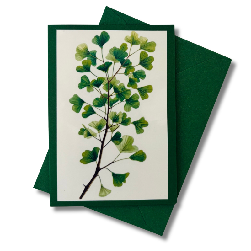 Mini-Karte Ginkgo