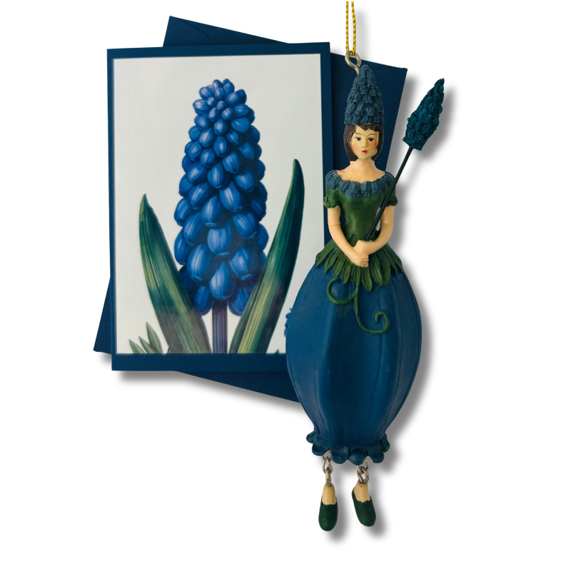 Mini-Karte Traubenhyazinthe