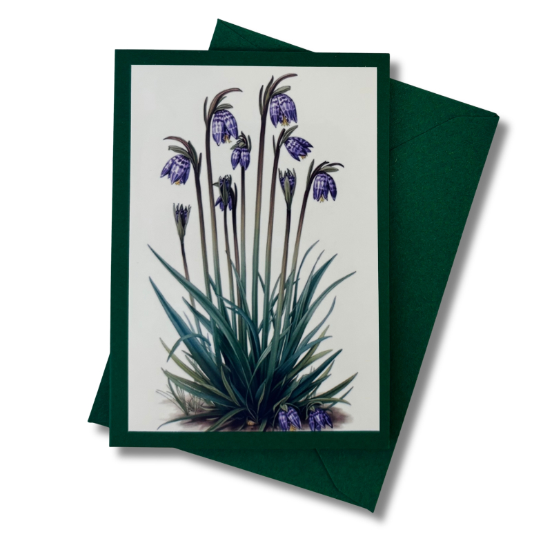 Mini-Karte Schachbrettblume