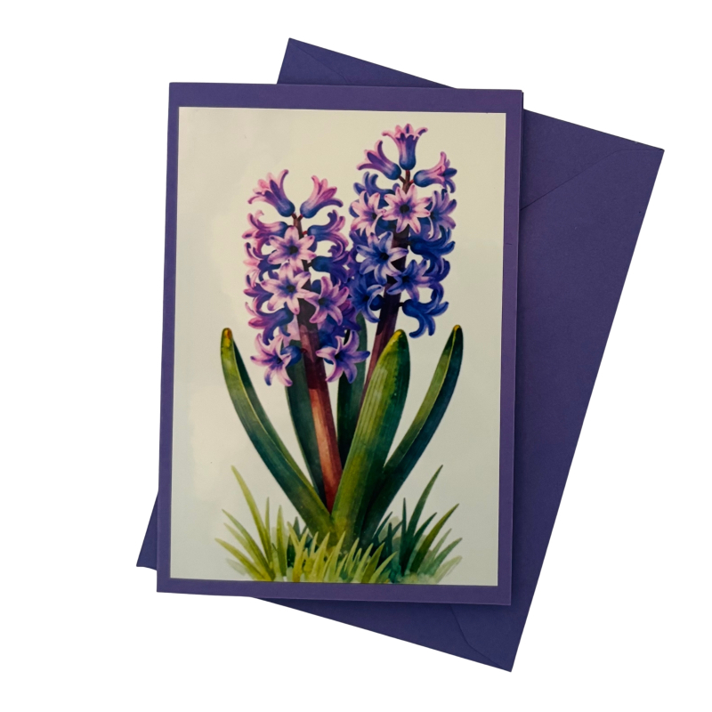 Mini-Karte Hyazinthe