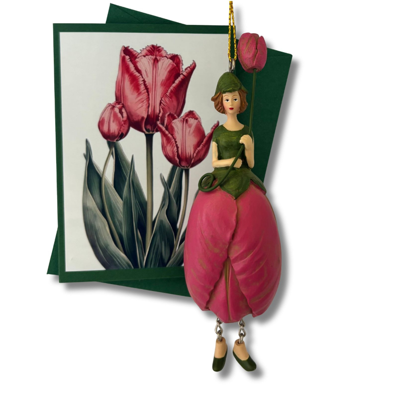 Mini-Karte Papageientulpe