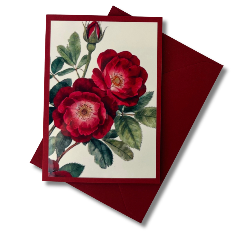 Mini-Karte Rose rot