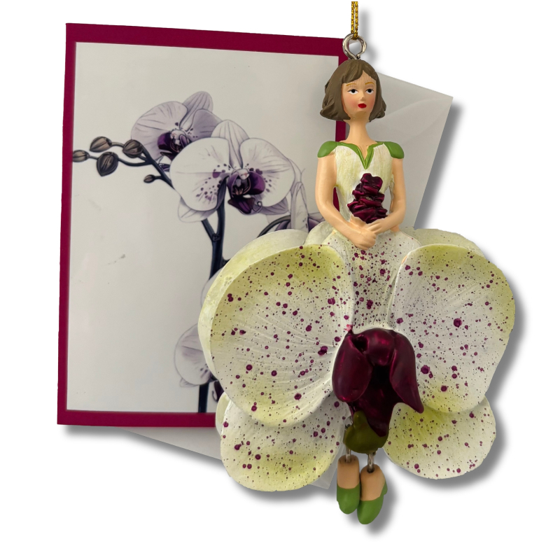 Mini-Karte Phalaenopsis weiß