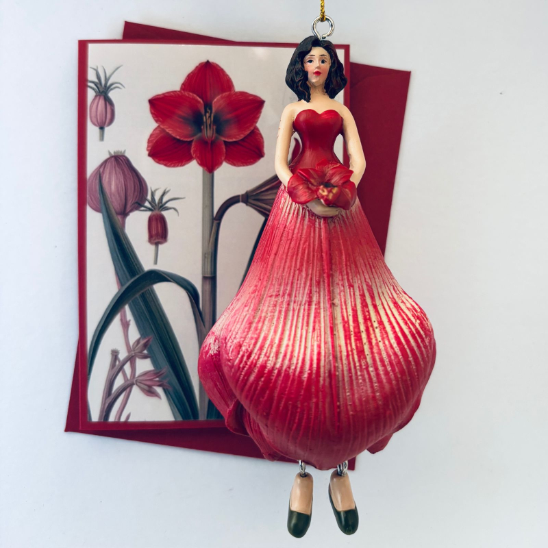 Amaryllismädchen zum Hängen