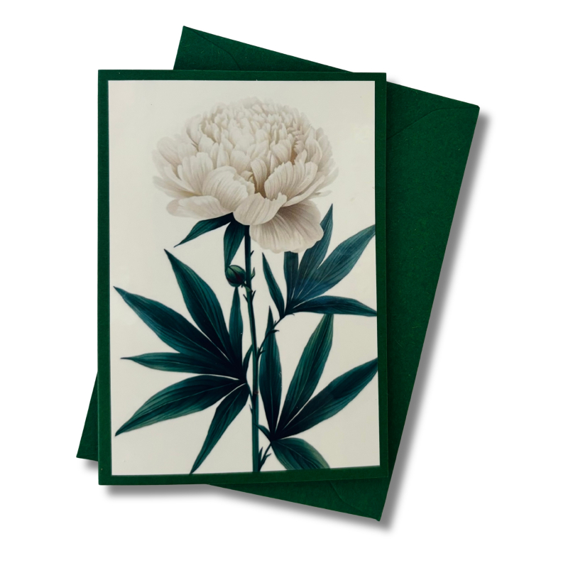 Mini-Karte Pfingstrose weiß