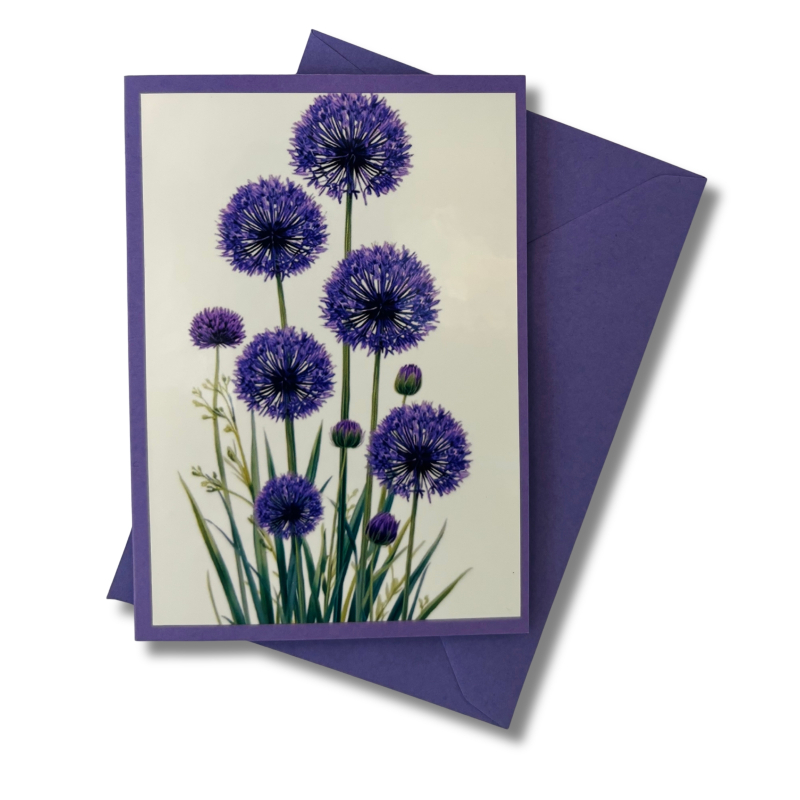 Mini-Karte Allium