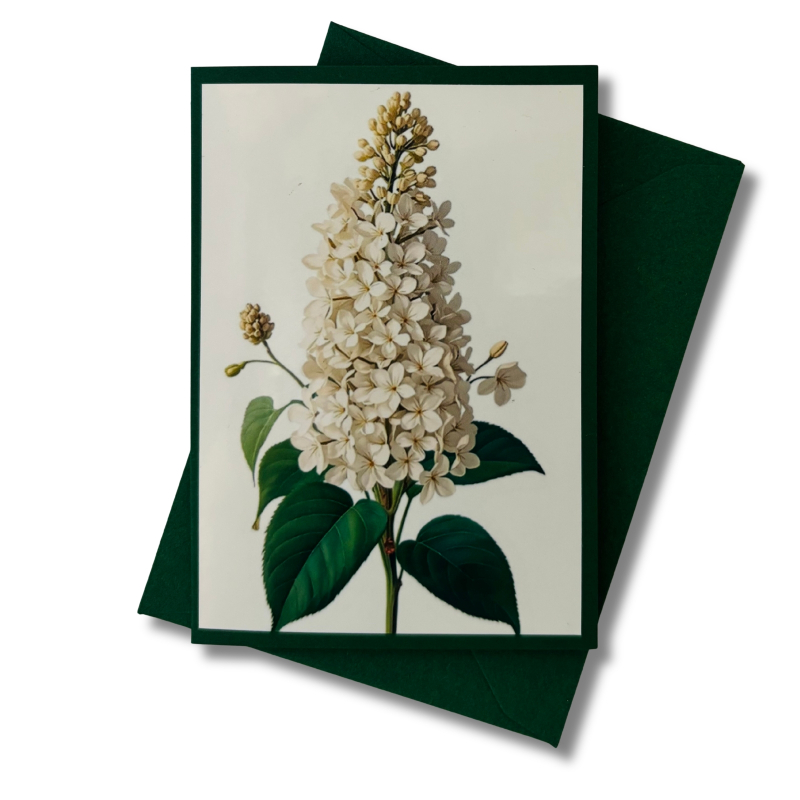 Mini-Karte Flieder weiß