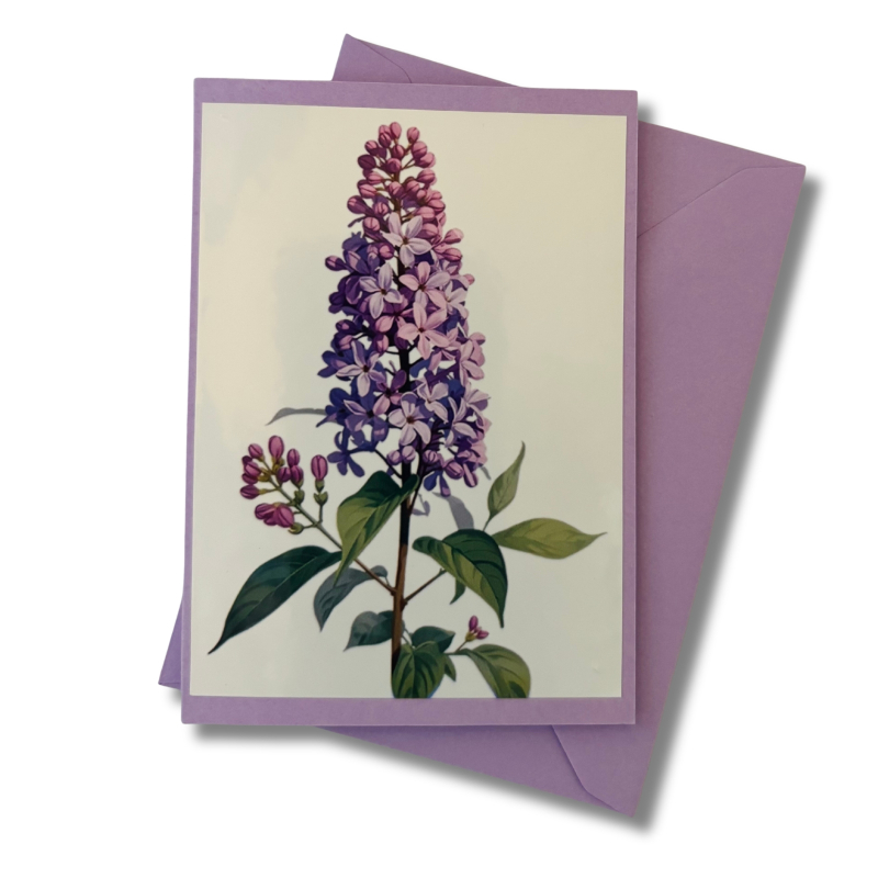 Mini-Karte Flieder hell-lila