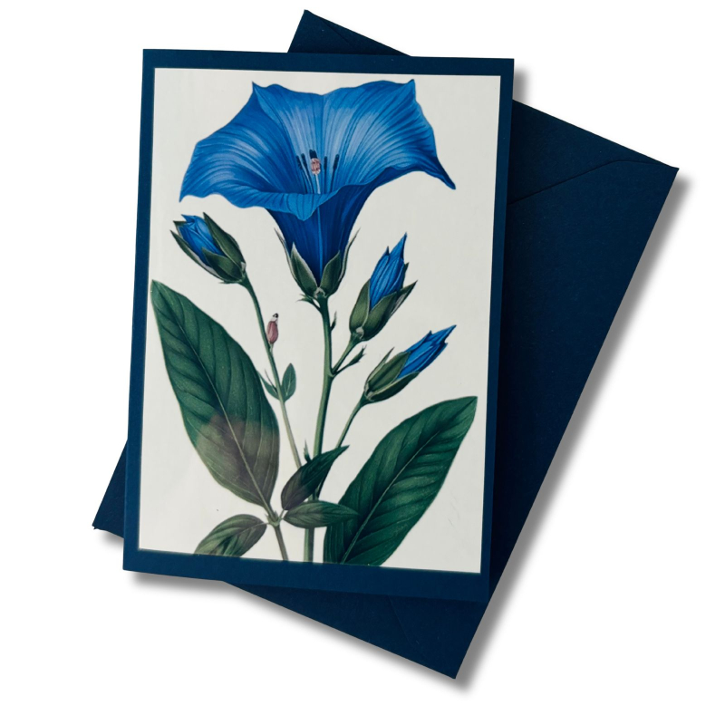 Enzianmädchen zum Hängen