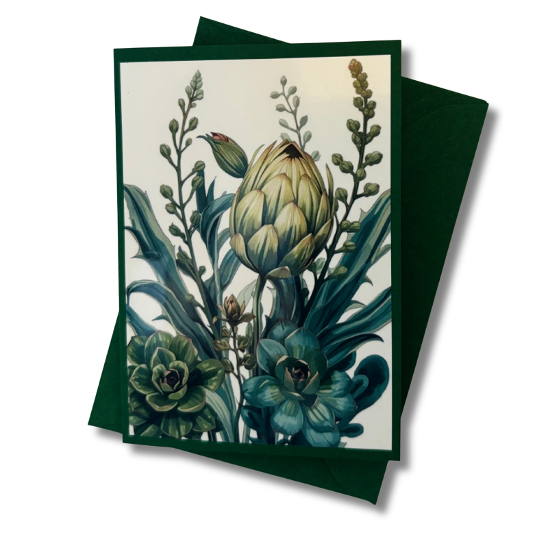 Mini-Karte Echeveria