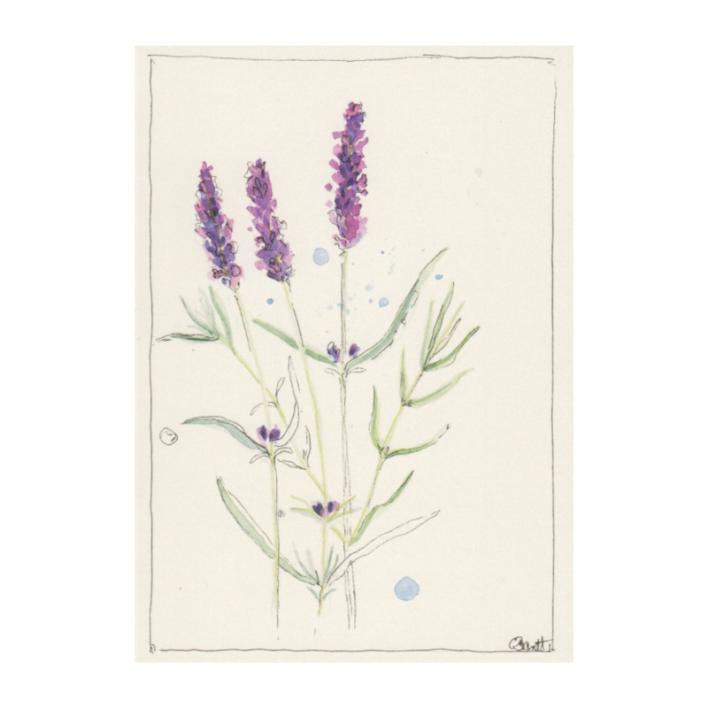 Doppelkarte Lavendel