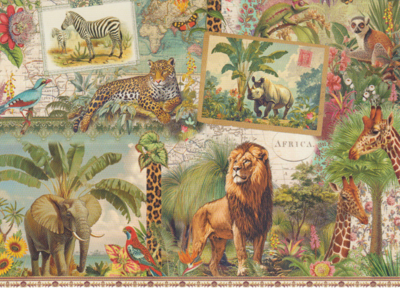 Postkarte Tiere Afrikas