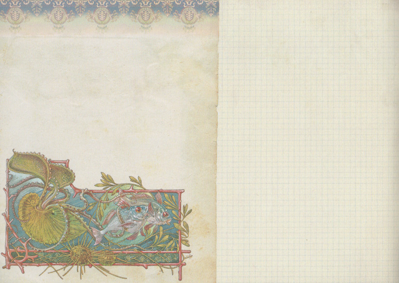 Notizheft Méduses Art Nouveau