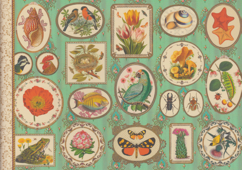 Notizheft Naturalist