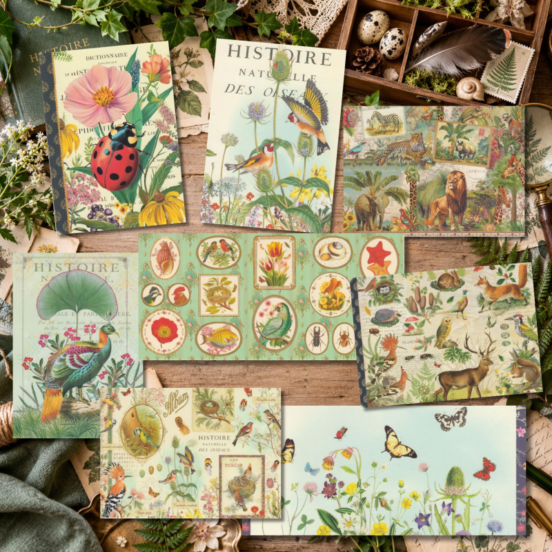 Postkartenset Histoire Naturelle 8 Karten