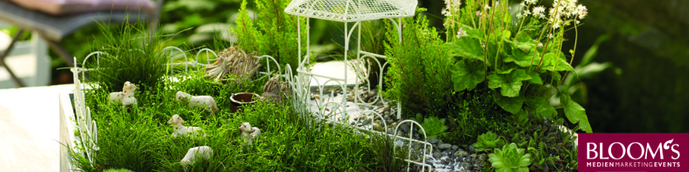 mini garten in der kuche, elfen-shop - mini-garten, Design ideen